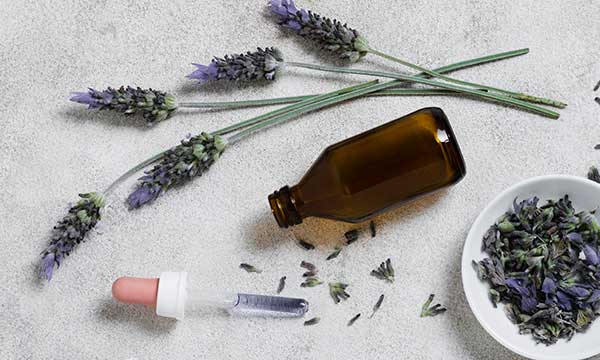 Lavender Essence Spa